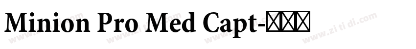 Minion Pro Med Capt字体转换